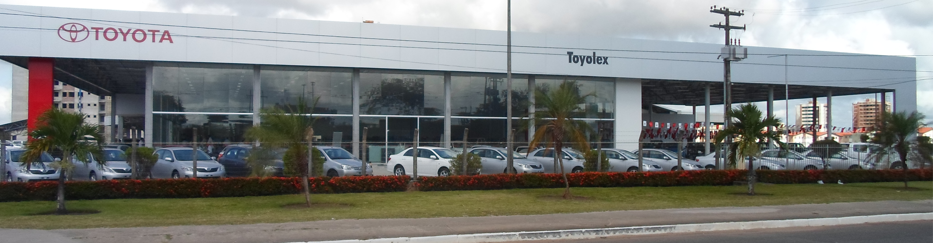 Toyolex